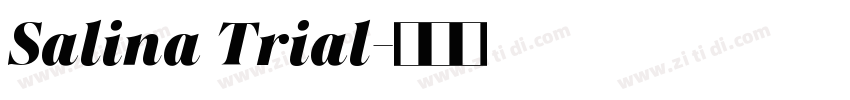 Salina Trial字体转换